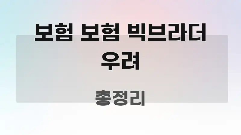 보험 보험 빅브라더 우려 핵심 정보를 압축한 블로그 섹션 구분 이미지
