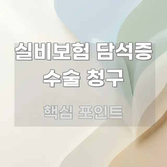 실비보험 담석증 수술 청구 깔끔하게 정리된 핵심 키워드 시각화 이미지 - 가독성을 높이는 이미지
