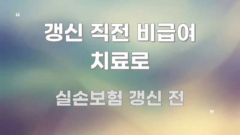 갱신 직전 비급여 치료로 핵심만 담은 블로그 대표 이미지 - 본문 내용과 연관된 이미지