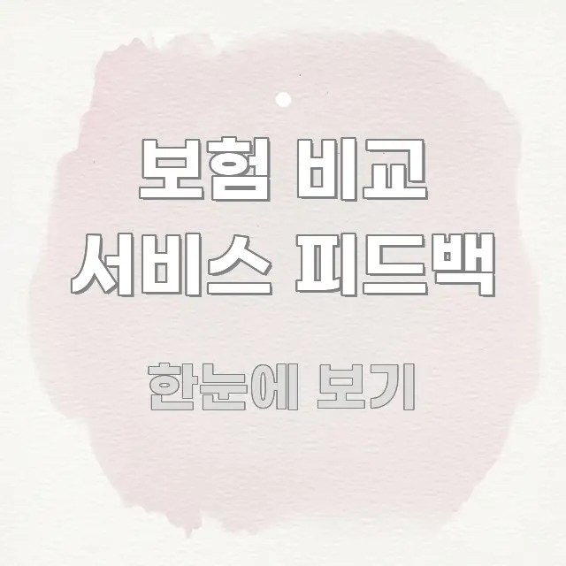 보험 비교 서비스 피드백 핵심만 담은 텍스트 기반 블로그 이미지 - 내용 요약을 위한 이미지