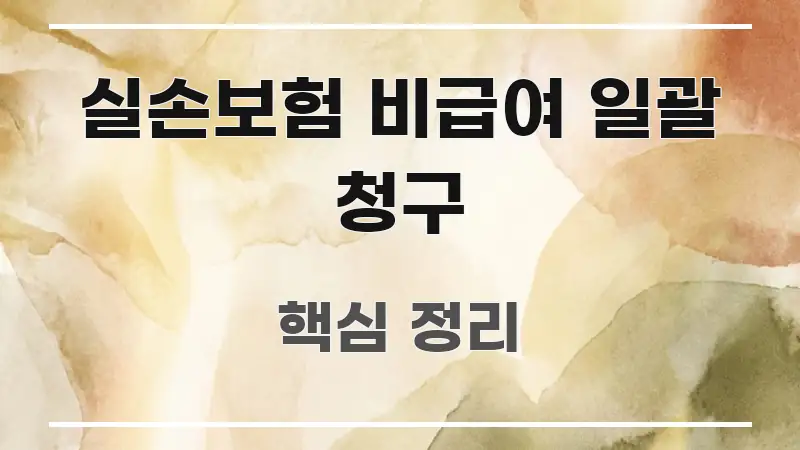 실손보험 비급여 일괄 청구 쉽게 따라할 수 있는 핵심 정보 비주얼 - 설명을 돕는 이미지