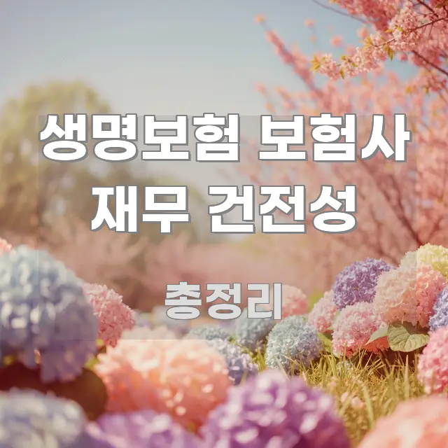 생명보험 보험사 재무 건전성 꼭 알아야 할 정보를 담은 텍스트형 카드뉴스 표지 이미지 - 가독성을 높이는 이미지