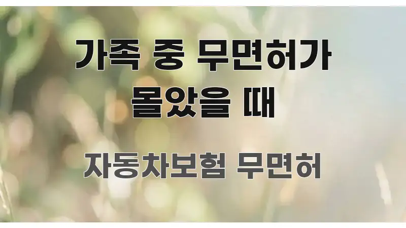 가족 중 무면허가 몰았을 때 핵심만 담은 글 소개 썸네일 이미지