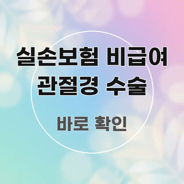 실손보험 비급여 관절경 수술 실생활에 도움되는 블로그 섹션 구분 이미지 - 내용 요약을 위한 이미지