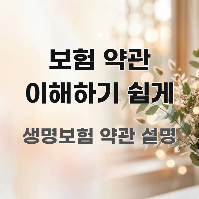 보험 약관 이해하기 쉽게 요점만 뽑아낸 콘텐츠 요약 표지 이미지 - 본문 내용과 연관된 이미지