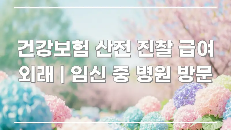 건강보험 산전 진찰 급여 외래 | 임신 중 병원 방문 핵심 내용을 정리한 정보 요약 포스터 - 본문 내용과 연관된 이미지