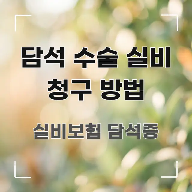 담석 수술 실비 청구 방법 흐름을 잡아주는 스마트 정보 카드 - 가독성을 높이는 이미지