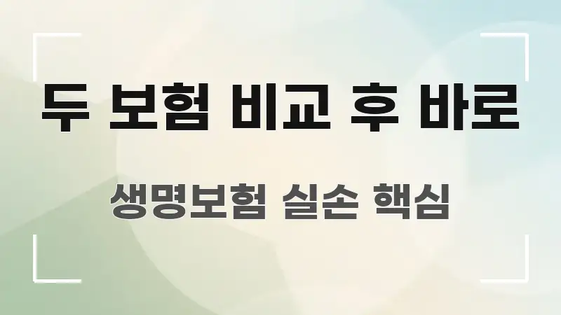 두 보험 비교 후 바로 한 번에 이해되는 정보 카드 디자인 이미지 - 본문 내용과 연관된 이미지