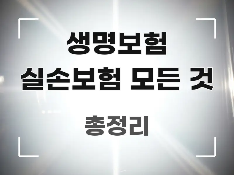생명보험 실손보험 모든 것 꼭 필요한 정보만 담은 핵심 키워드 시각화 이미지 - 활용 예시 이미지