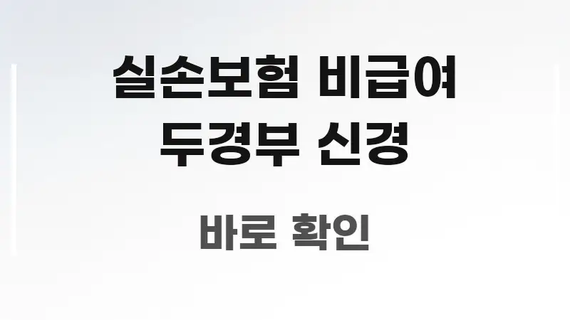 실손보험 비급여 두경부 신경 실용적으로 정리한 텍스트 기반 블로그 이미지 - 본문 내용과 연관된 이미지