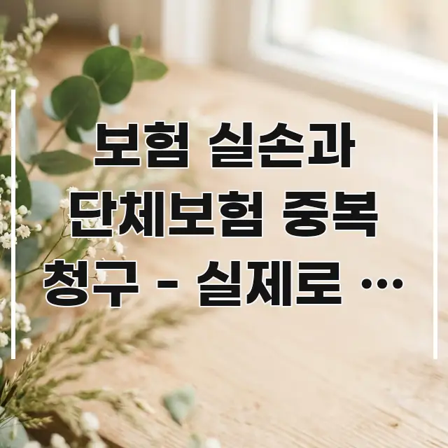 보험 실손과 단체보험 중복 청구 - 실제로 두 곳에서 검증된 정보로 구성된 가독성 높은 정보 이미지 - 내용 요약을 위한 이미지