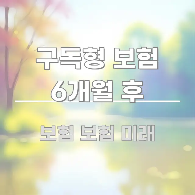 구독형 보험 6개월 후 요점만 뽑아낸 정보 요약 포스터 - 활용 예시 이미지
