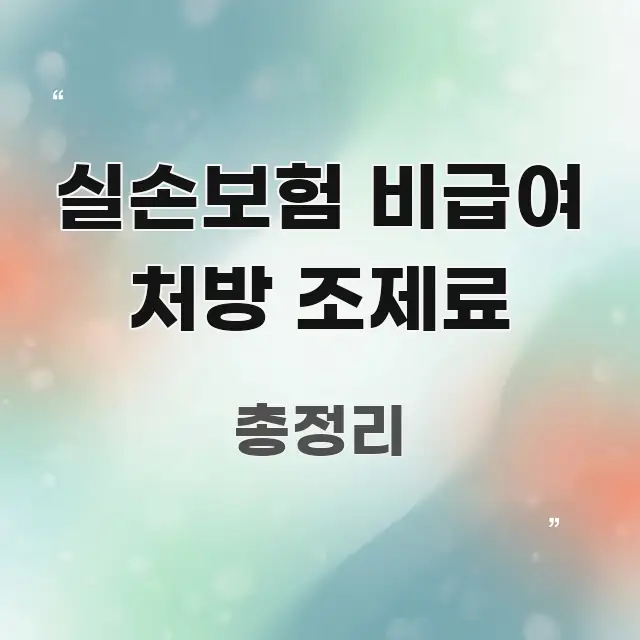 실손보험 비급여 처방 조제료 핵심만 담은 정보 정리 카드 이미지 - 가독성을 높이는 이미지
