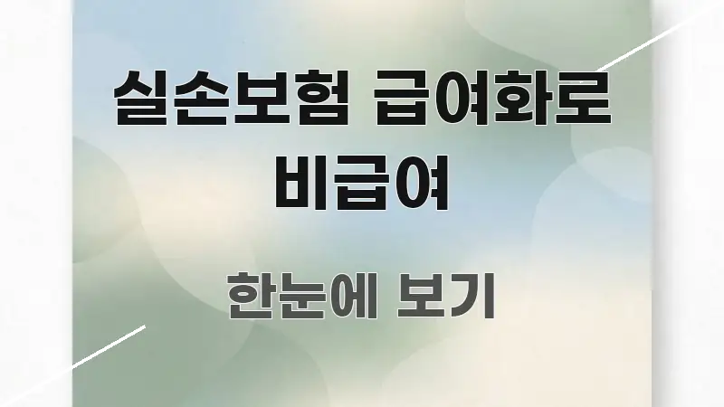 실손보험 급여화로 비급여 명확하게 정리된 블로그 섹션 구분 이미지