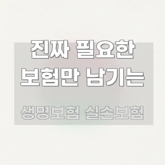 진짜 필요한 보험만 남기는 한 번에 이해되는 텍스트 기반 블로그 이미지 - 내용 요약을 위한 이미지