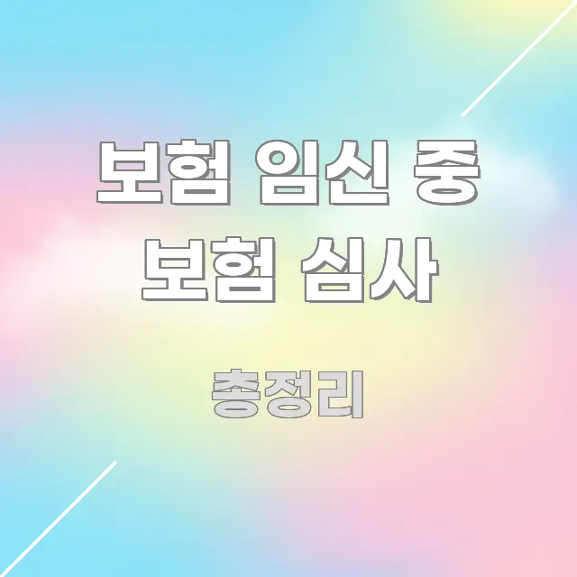 보험 임신 중 보험 심사 흥미롭게 구성한 심플 타이포그래피 표지 - 가독성을 높이는 이미지