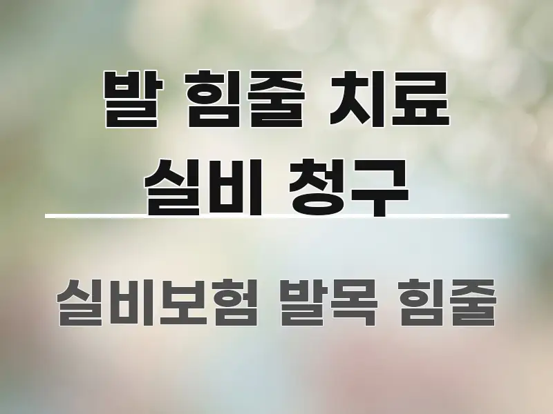 발 힘줄 치료 실비 청구 핵심 요약 발 힘줄 치료 실비 청구 핵심만 담은 모던 카드뉴스 디자인 - 글 흐름을 돕는 시각 자료