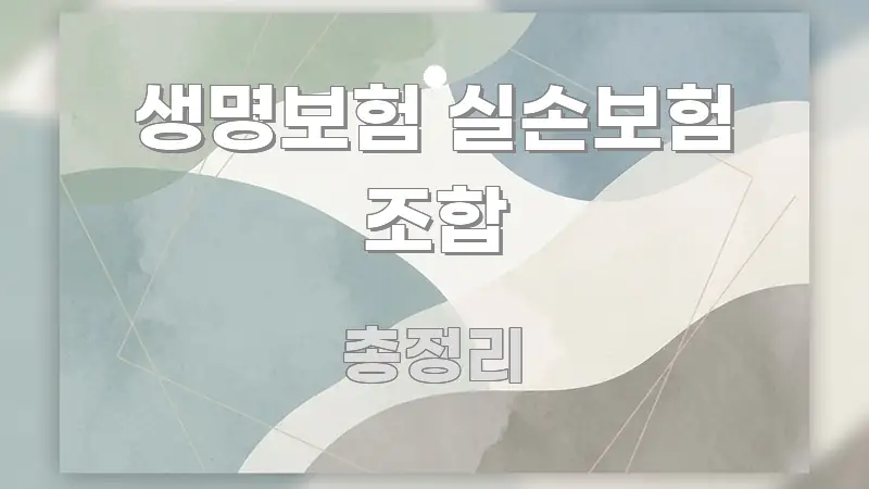 생명보험 실손보험 조합 꼭 알아야 할 정보를 담은 정보 카드 디자인 이미지 - 활용 예시 이미지