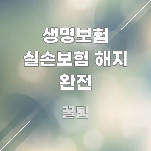 생명보험 실손보험 해지 완전 핵심 개념을 담은 정보 전달형 표지 이미지 - 내용 요약을 위한 이미지