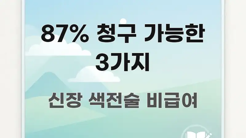 87% 청구 가능한 3가지 구조적으로 정리된 블로그 대표 이미지 - 활용 예시 이미지