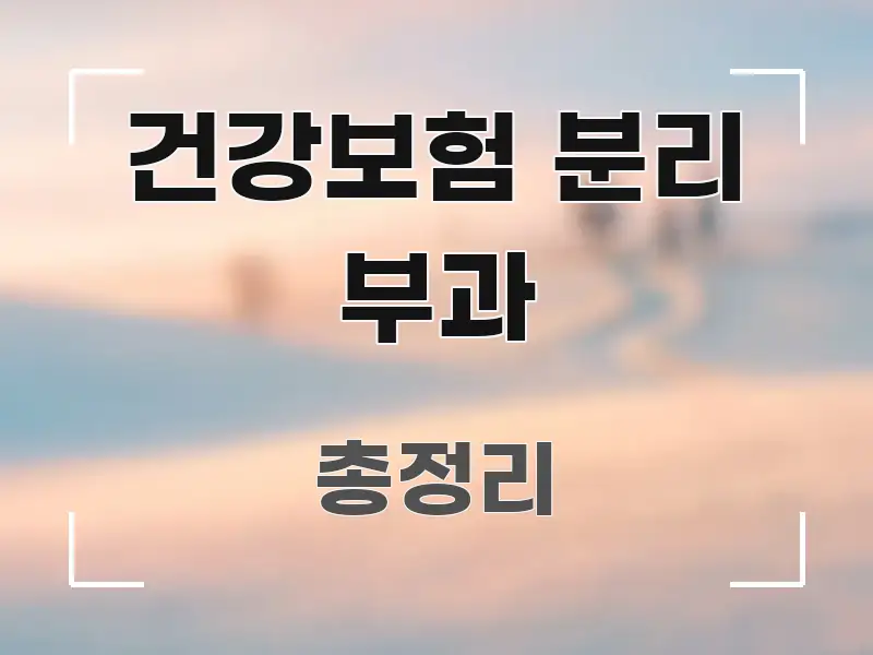 건강보험 분리 부과 흥미롭게 구성한 블로그 섹션 구분 이미지 - 글 흐름을 돕는 시각 자료