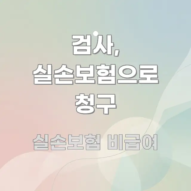 검사, 실손보험으로 청구 한 번에 이해되는 핵심 요약 디자인 카드 - 내용 요약을 위한 이미지