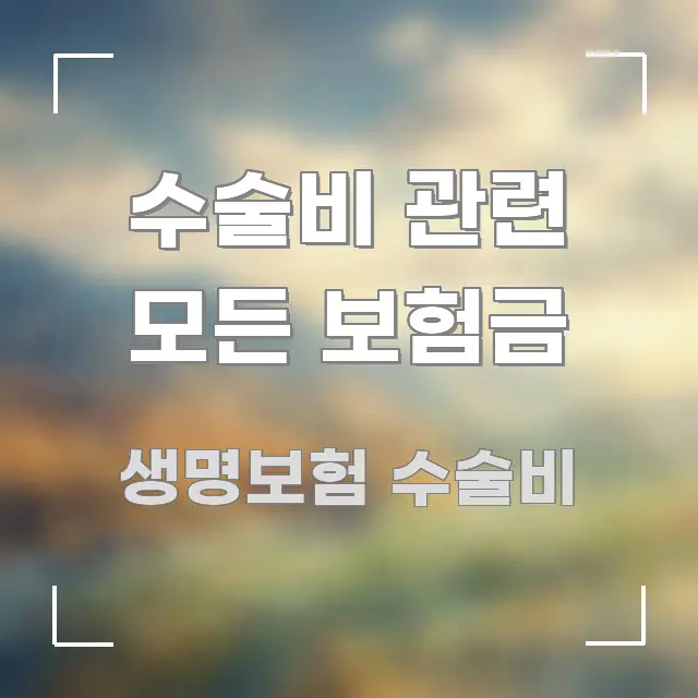 수술비 관련 모든 보험금 흥미롭게 구성한 정보 요약 포스터 - 참고용 이미지
