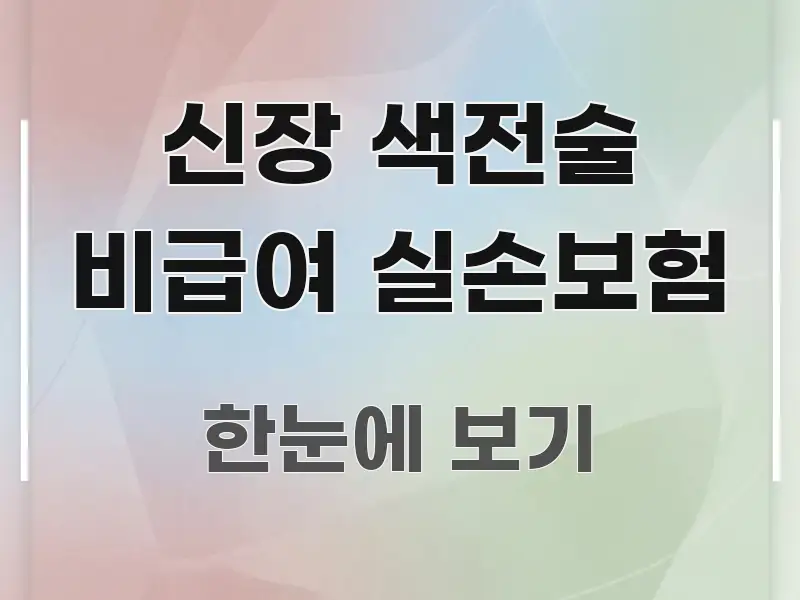 신장 색전술 비급여 실손보험 꼭 필요한 정보만 담은 블로그 대표 이미지 - 가독성을 높이는 이미지