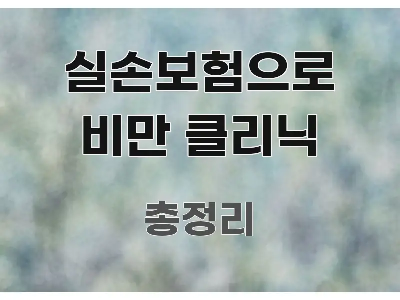 실손보험으로 비만 클리닉 한눈에 들어오는 글 소개 썸네일 이미지 - 참고용 이미지