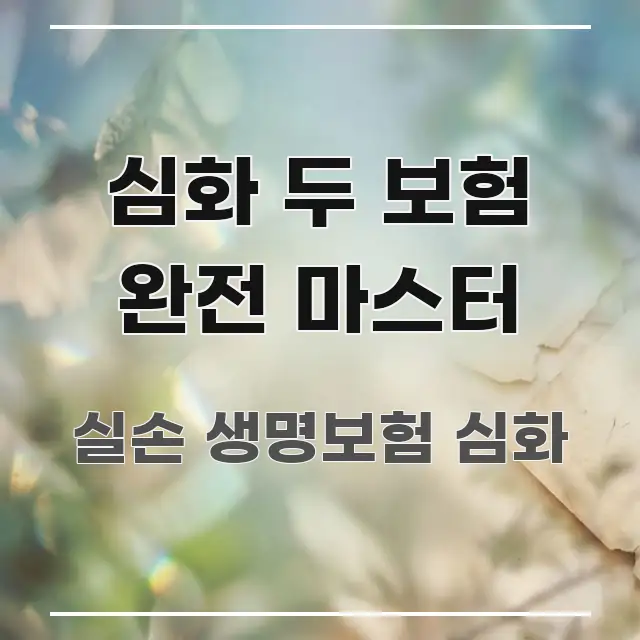 심화 두 보험 완전 마스터 꼼꼼하게 정리된 정보 요약 인포그래픽 이미지 - 활용 예시 이미지
