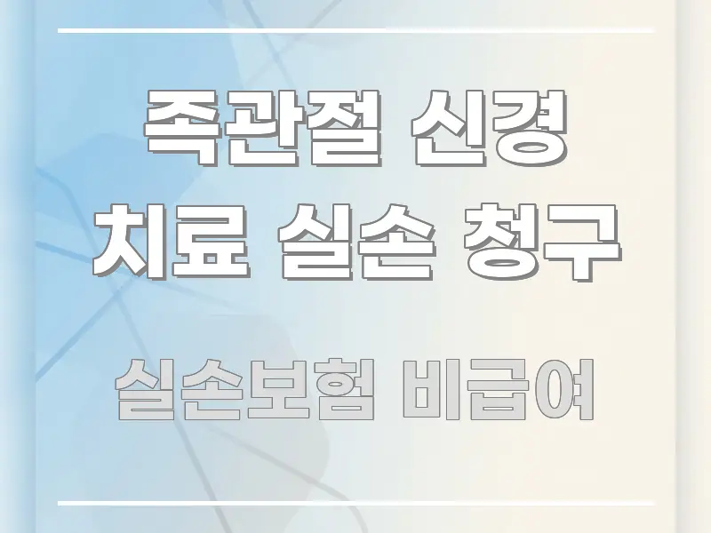 족관절 신경 치료 실손 청구 핵심 요약 족관절 신경 치료 실손 청구 전문가가 선별한 콘텐츠 요약 표지 이미지 - 독자 이해를 위한 이미지