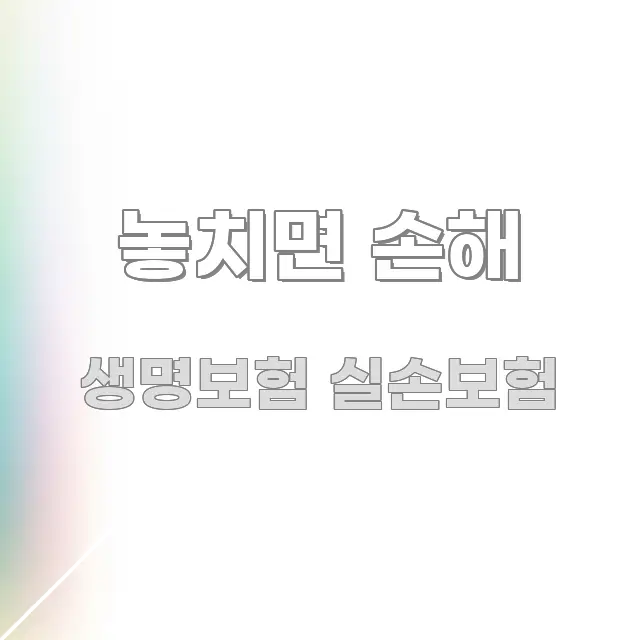 놓치면 손해 알기 쉽게 정리한 블로그 섹션 구분 이미지