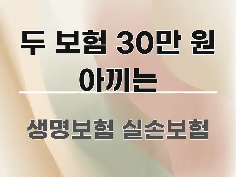 두 보험 30만 원 아끼는 직관적으로 이해되는 텍스트 포스터 이미지 - 설명을 돕는 이미지