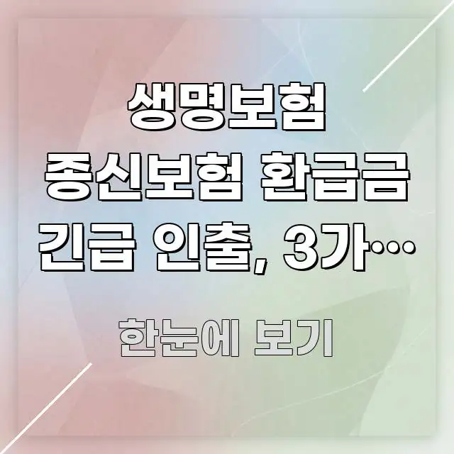 생명보험 종신보험 환급금 긴급 인출, 3가지 방법으로 핵심만 담은 포스트 대표 비주얼 이미지 - 본문 내용과 연관된 이미지