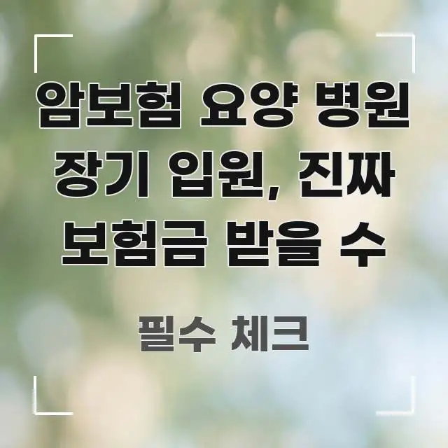 암보험 요양 병원 장기 입원, 진짜 보험금 받을 수 한 번에 이해되는 정보 요약 인포그래픽 이미지