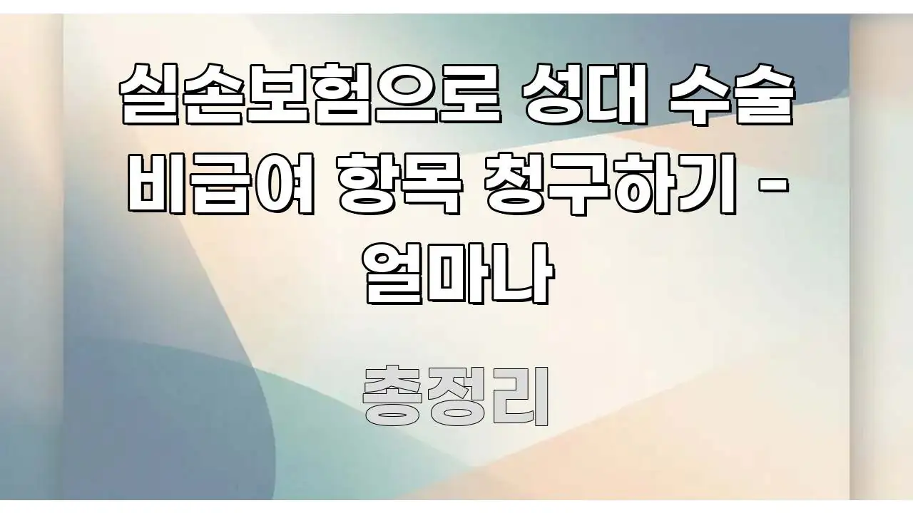실손보험으로 성대 수술 비급여 항목 청구하기 - 얼마나 주요 흐름을 설명한 콘텐츠 요약 표지 이미지 - 독자 이해를 위한 이미지