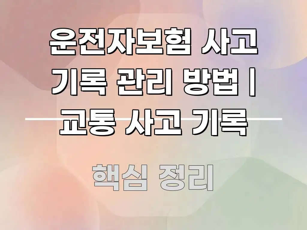 운전자보험 사고 기록 관리 방법 | 교통 사고 기록 한눈에 들어오는 가독성 높은 정보 이미지 - 참고용 이미지