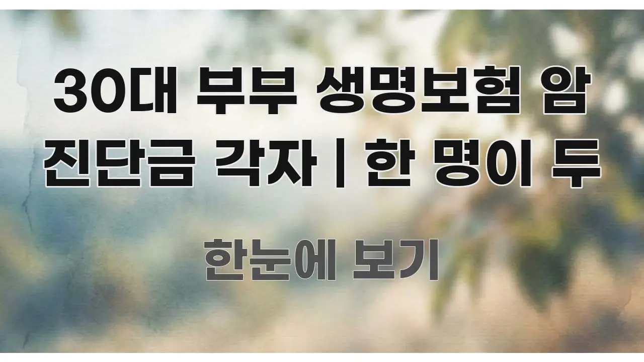 30대 부부 생명보험 암 진단금 각자 | 한 명이 두 쉽게 읽히는 핵심 키워드 시각화 이미지 - 설명을 돕는 이미지