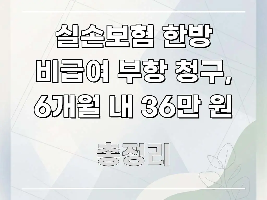 실손보험 한방 비급여 부항 청구, 6개월 내 36만 원 깔끔하게 정리된 정보 카드 디자인 이미지 - 독자 이해를 위한 이미지