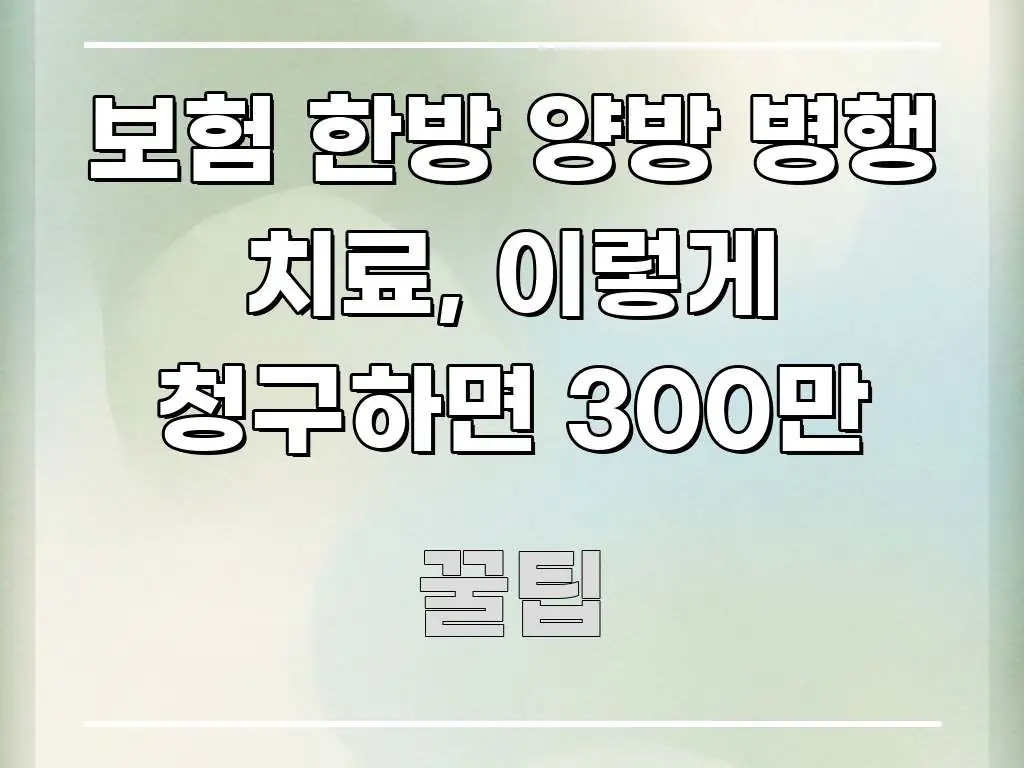 보험 한방 양방 병행 치료, 이렇게 청구하면 300만 한눈에 들어오는 핵심 키워드 시각화 이미지 - 참고용 이미지