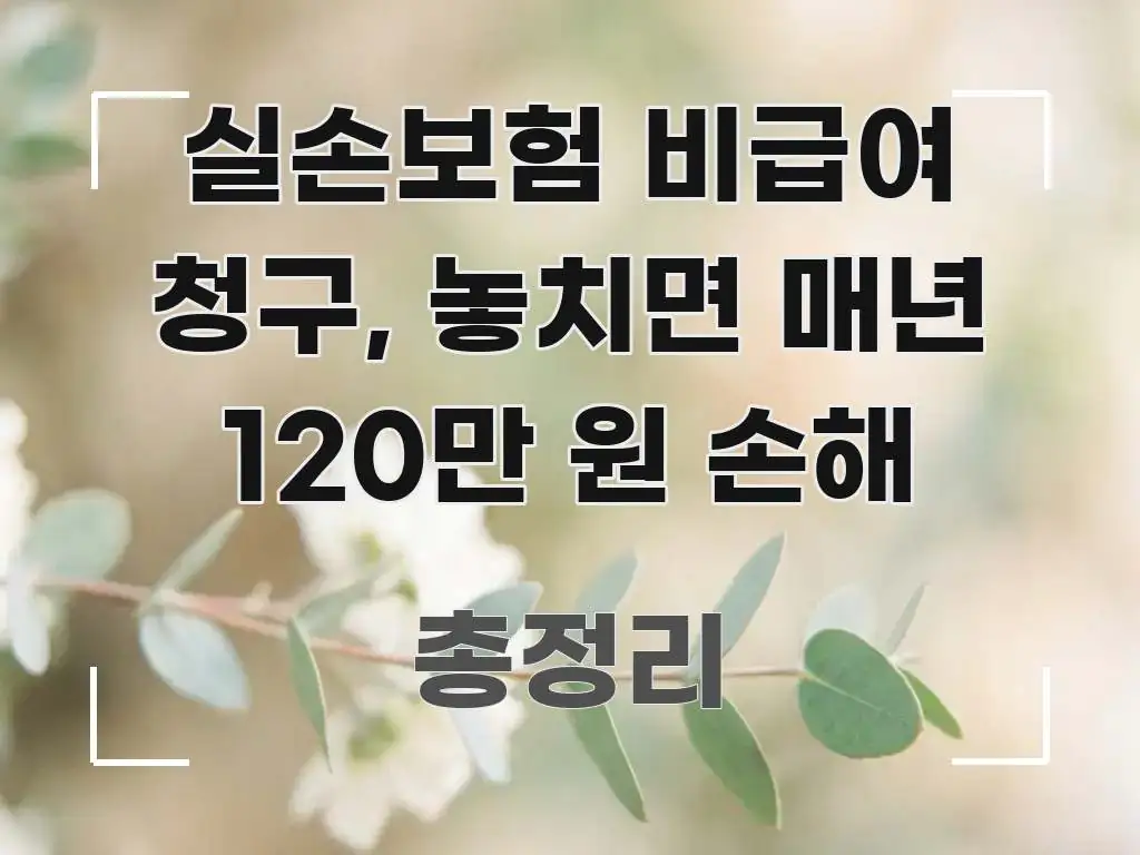 실손보험 비급여 청구, 놓치면 매년 120만 원 손해 요점만 뽑아낸 텍스트 기반 블로그 이미지
