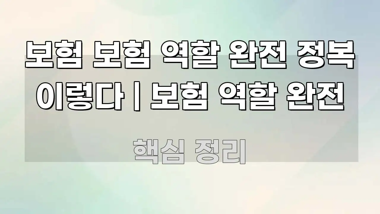 보험 보험 역할 완전 정복 이렇다 | 보험 역할 완전 중요 내용만 뽑은 핵심 정리 썸네일 이미지