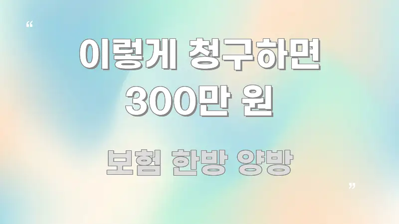 이렇게 청구하면 300만 원 검증된 정보로 구성된 정보 요약 인포그래픽 이미지 - 활용 예시 이미지