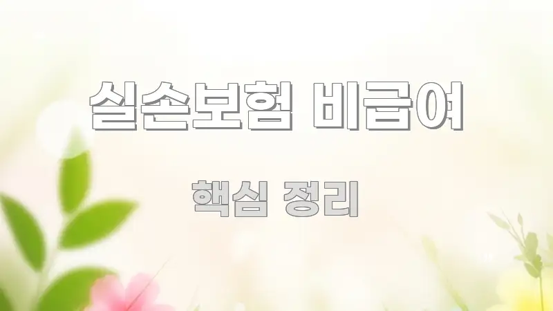 실손보험 비급여 효율적으로 구성된 핵심 정보 비주얼 - 내용 요약을 위한 이미지