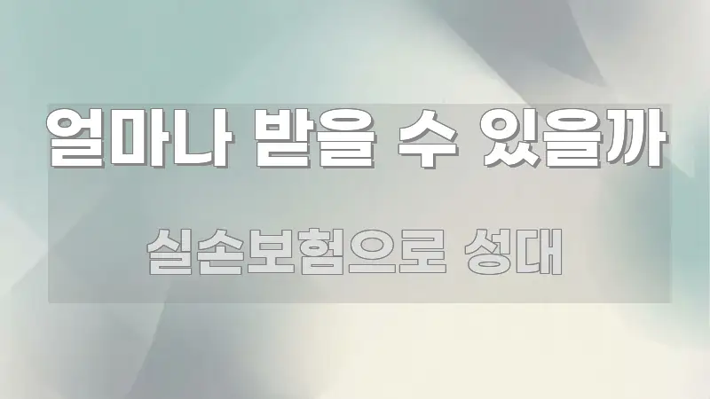 얼마나 받을 수 있을까 꼼꼼하게 정리된 깔끔한 인포그래픽 표지 - 내용 요약을 위한 이미지