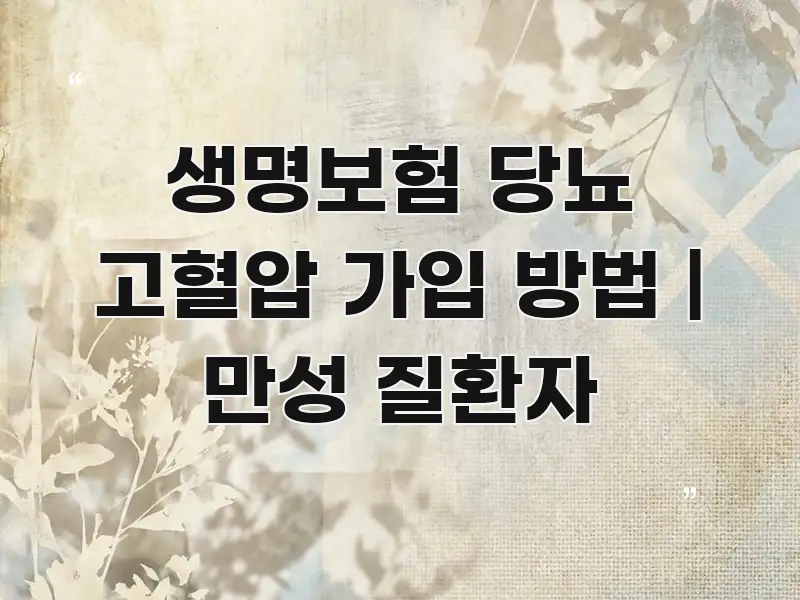 생명보험 당뇨 고혈압 가입 방법 | 만성 질환자 한눈에 보기 좋게 요약한 정보 요약 포스터 - 내용 요약을 위한 이미지