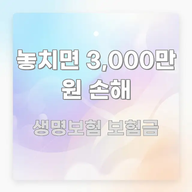 놓치면 3,000만 원 손해 핵심 개념을 담은 블로그 섹션 구분 이미지 - 글 흐름을 돕는 시각 자료