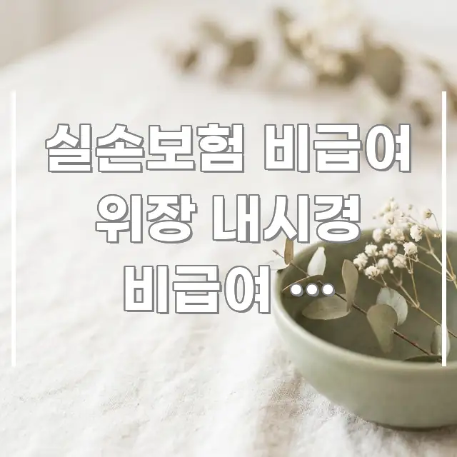 실손보험 비급여 위장 내시경 비급여 | 위내시경 비급여 쉽게 읽히는 블로그용 카드뉴스 썸네일 - 글 흐름을 돕는 시각 자료