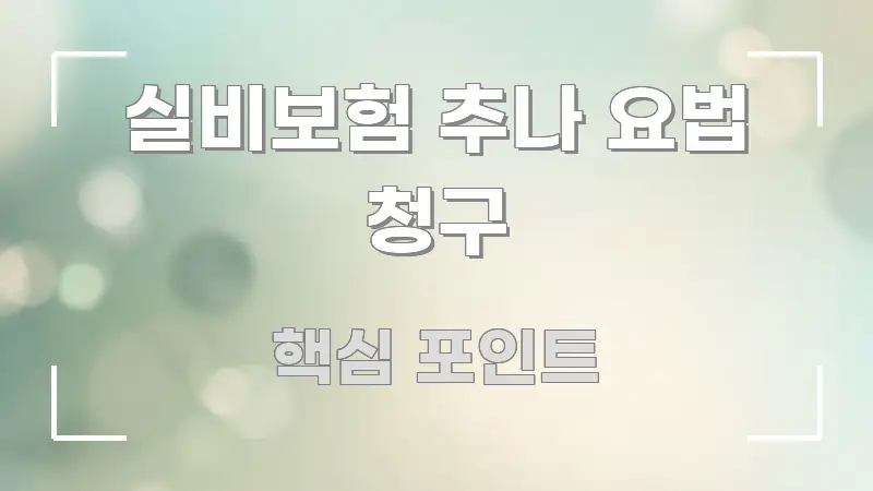 실비보험 추나 요법 청구 핵심 정보 중심의 핵심 키워드 시각화 이미지 - 본문 내용과 연관된 이미지