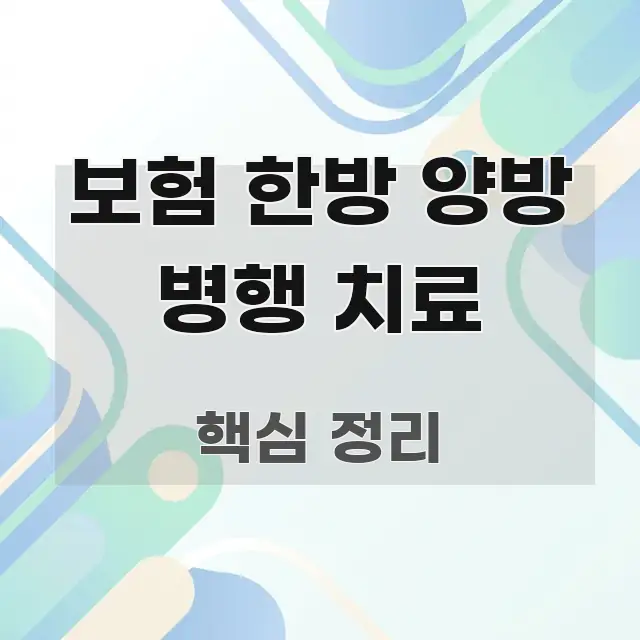 보험 한방 양방 병행 치료 효율적으로 구성된 포스트 대표 비주얼 이미지
